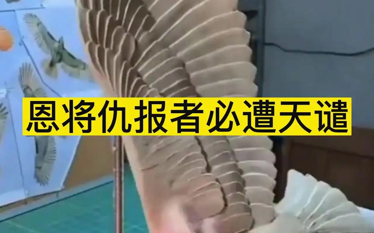 恩将仇报者必遭天谴