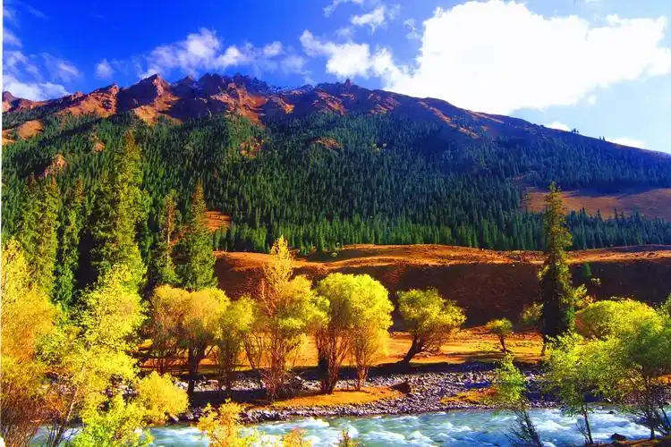 【图说新疆】"聆听新疆"爱上博州