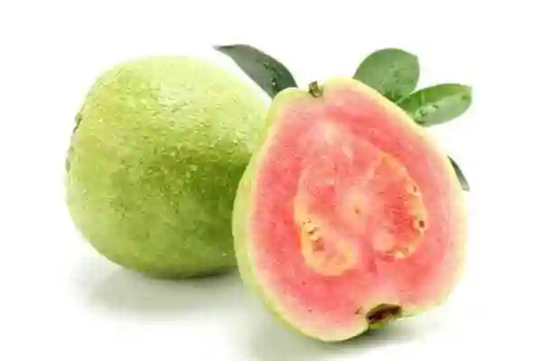 番石榴的高清大图