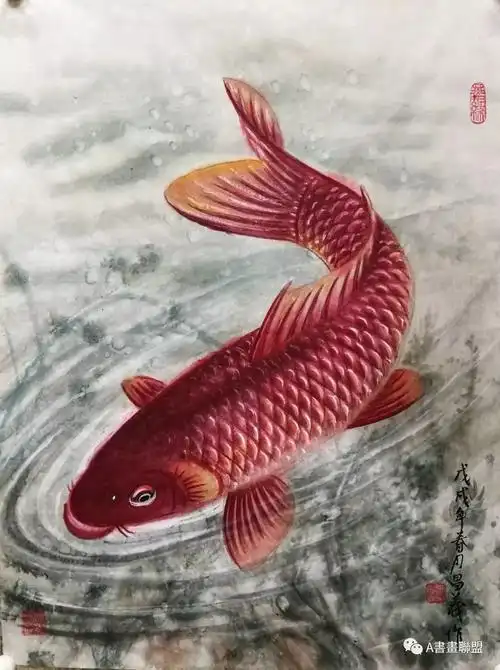 书画联盟丨写意红色鲤鱼的画法,一学就会.