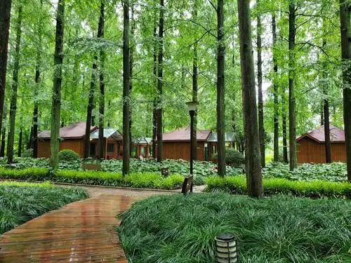 森林氧吧度假记