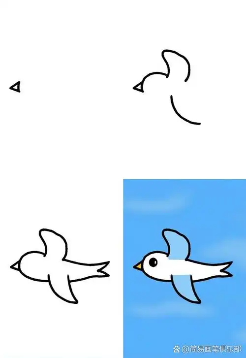 🐦飞行的鸟简笔画🎨