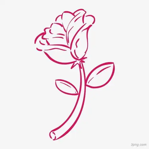 手绘玫瑰花png素材透明免抠图片-节日元素-三元素3png.com