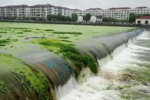 水体富营养化治理措施