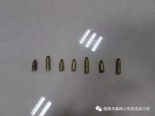 近日成县森林公安分局破获一起非法持枪狩猎案件
