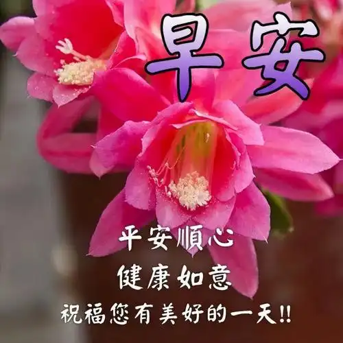 早安吉祥:一份情思,人生安暖,一份清浅,时光却无言,早安