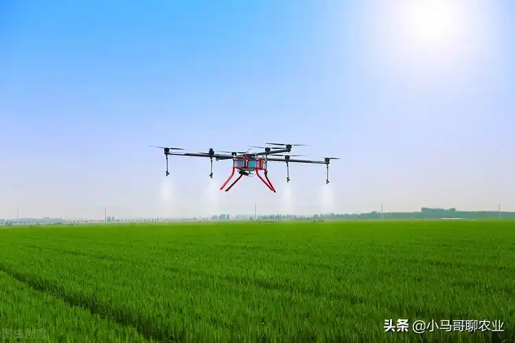 使用无人机打药比较多的人群大约有三类,一是上班族,二是包地大户,三