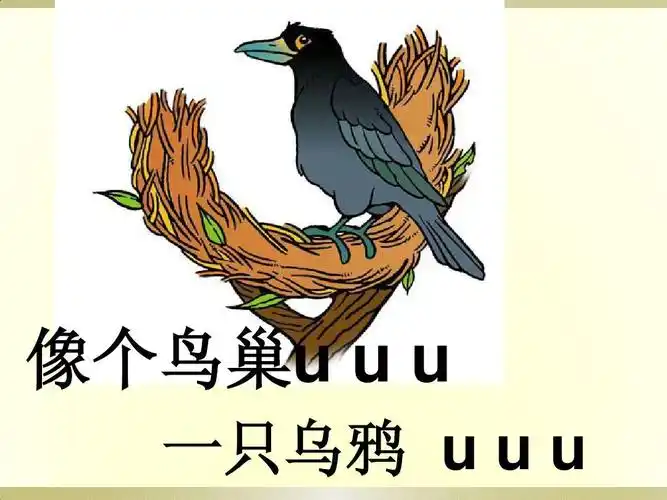 张宇霄 aoeiuvyw 拼音教学课件ppt