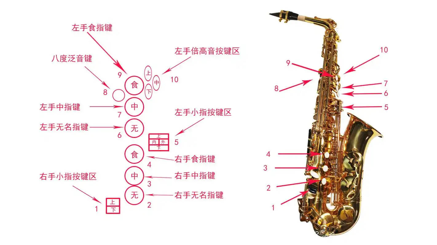 一站式干货《萨克斯入门实用手册》