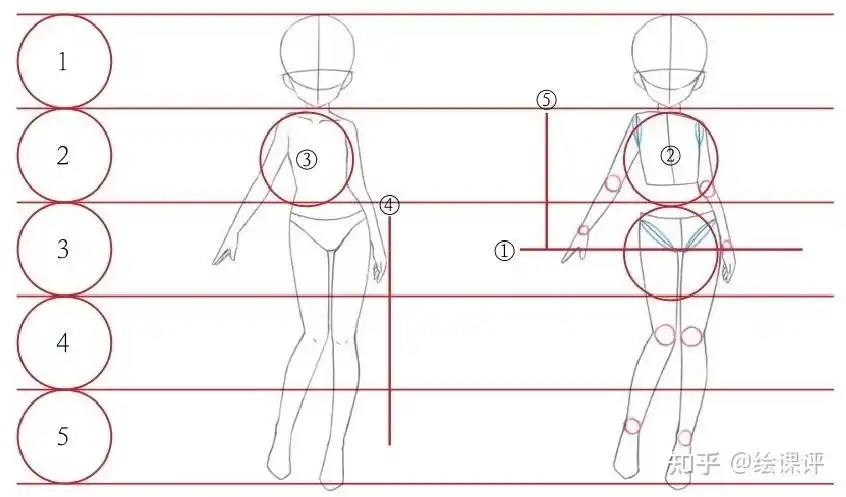 【板绘教程】漫画人物怎么画 女生,学人体比例画女性漫画人物