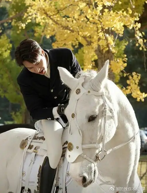 下面小编来给大家分析分析,李敏镐这一套骑马服的穿搭吧.