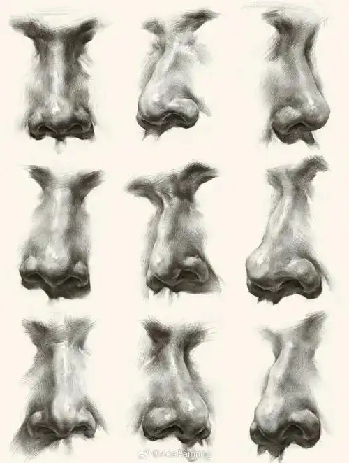 素描##素描人像##素描人像五官