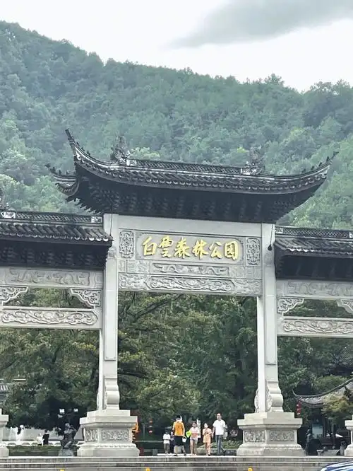 丽水白云森林公园