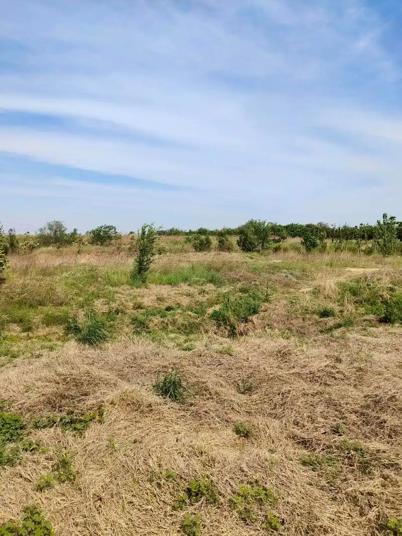 为什么现在农村的荒地很多?