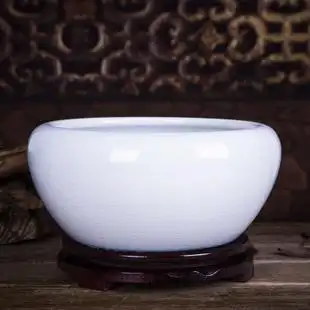 白色鱼缸 - 第5页 - 微购时尚女性网