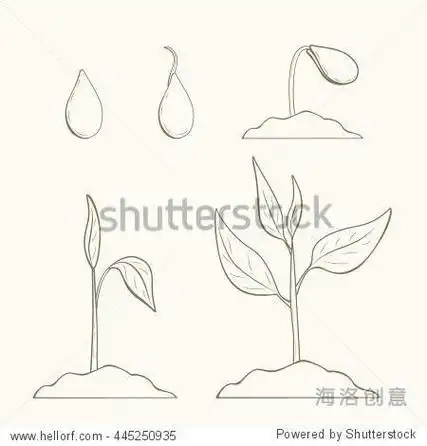 种子发芽的简笔画种子发芽简笔画图片教程发芽的绿豆简笔画步骤绿豆简