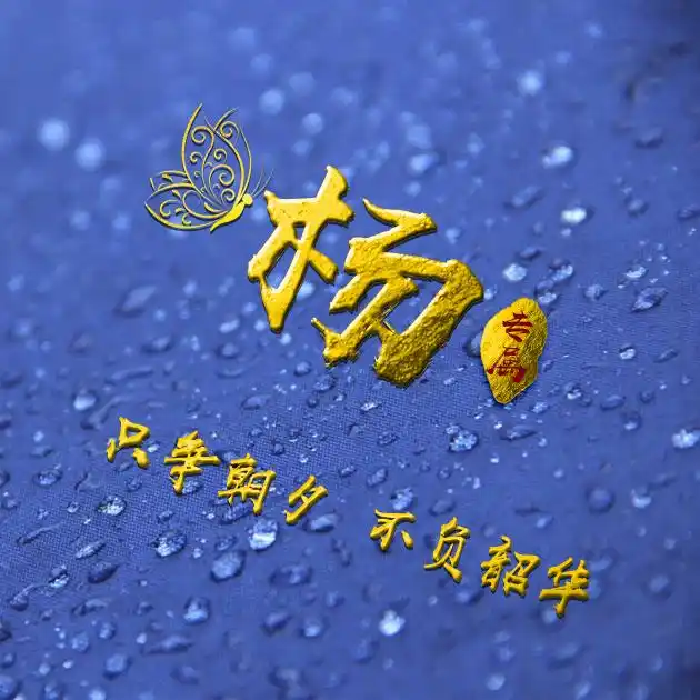 励志专属,只争朝夕不负韶华-微信头像,百家姓氏微信头像,名字壁纸