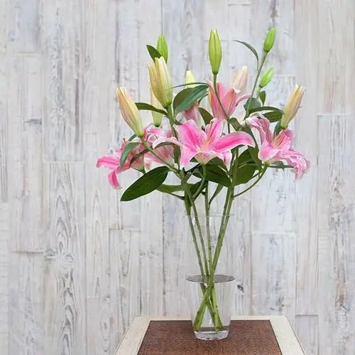 新年单品家庭瓶插花