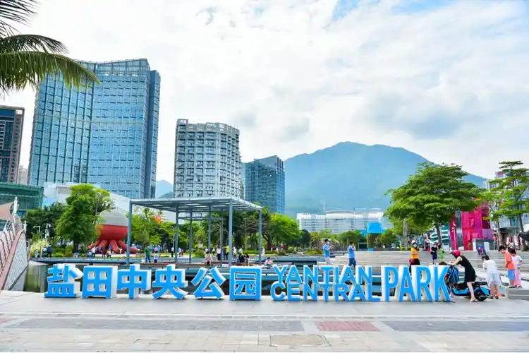 盐田区委书记陈清区长邓飞波向广大网友拜年