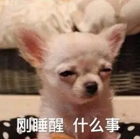 刚睡醒什么事狗子刚睡醒表情包系列