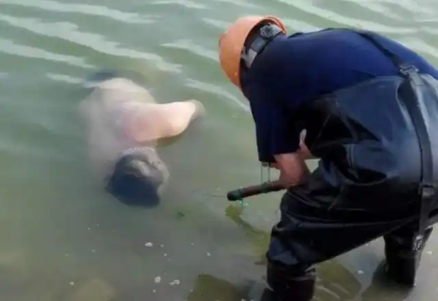 据了解,两名死者是荆州某大学的学生,其中黄某是丰江本地人,另一名是