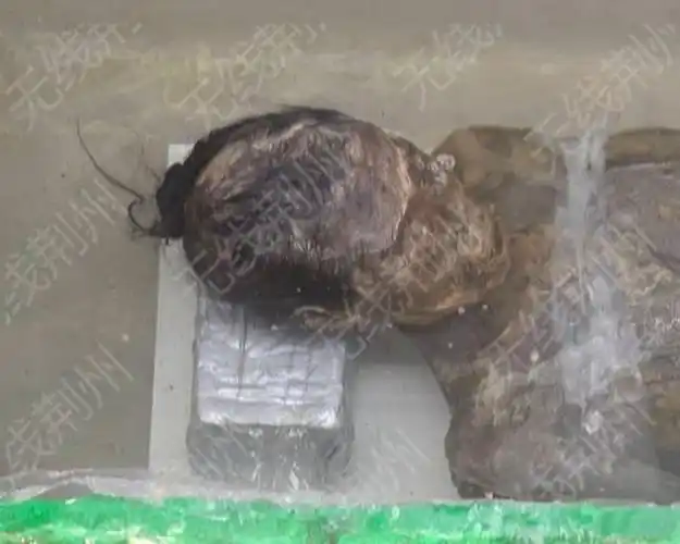 荆州一明代古墓开棺500年女尸眉毛头发清晰可见