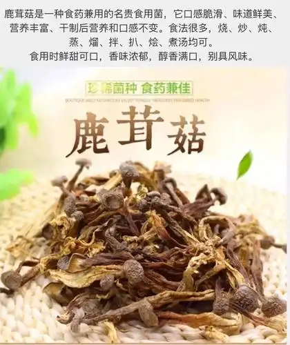 其它 怀恩供应链—菌类篇 写美篇干锅鹿茸菇 脆/嫩/爽/滑 鲜/香/扑/鼻