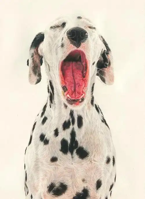 彩铅狗狗大pk哪一只你最爱