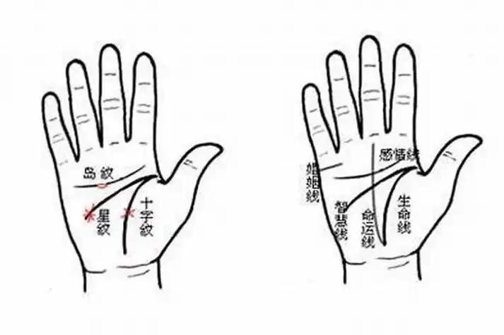 手断掌的女人有什么命运吗?断掌女生一定婚姻不顺吗