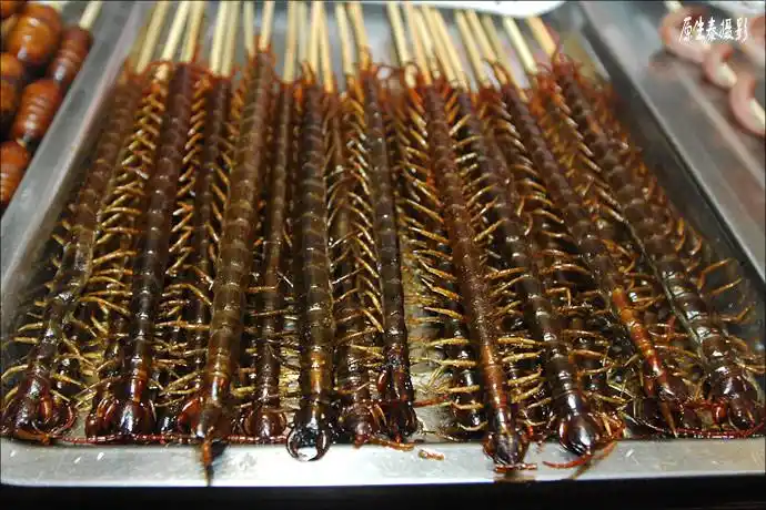 炸蜈蚣,谁有胆量吃呢?