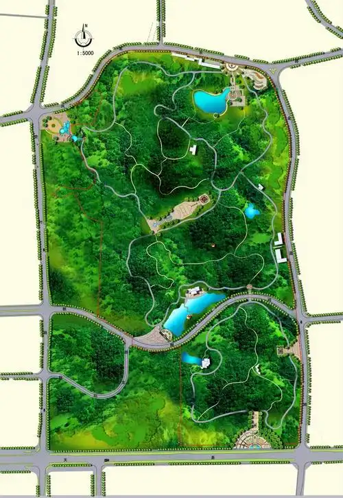 一张森林公园的平面图