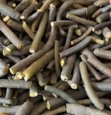 30斤南极海笋冰笋干货南极海茸丝进口货