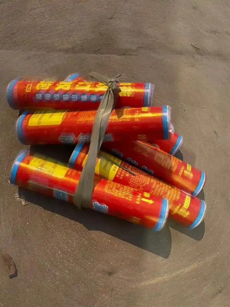 回老家放个二踢脚96#炮仗一响黄金万两 #烟花爆竹闹新年 # - 抖音