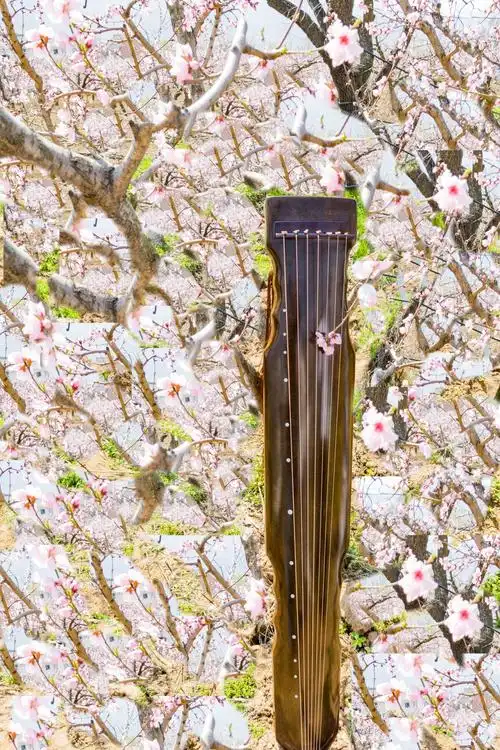 十里桃花 古琴情缘