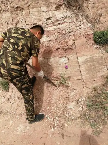 中药资源普查野外日志3——寻觅那一抹芬芳之补采与补拍