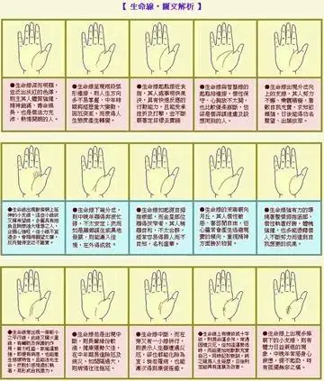 手掌上,长短不一的生命线,都代表什么含义