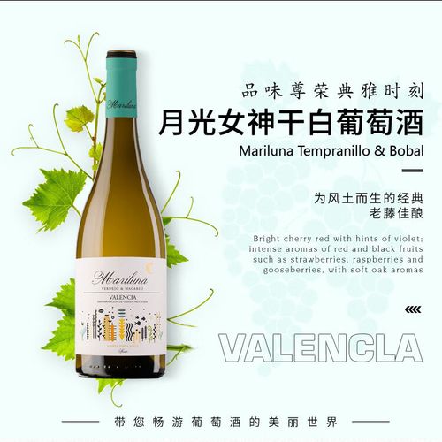 月光女神西班牙百年葡萄庄园原瓶进口干白葡萄酒12.