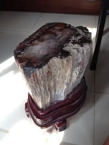 这是树化石吗?价值多少?