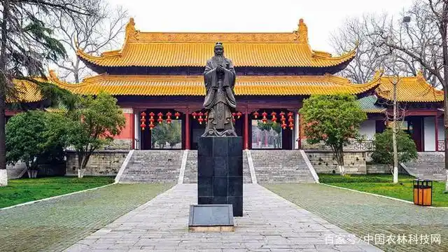 孔子故里,东方圣城!一县一品,山东曲阜特色农产品九仙山葡萄