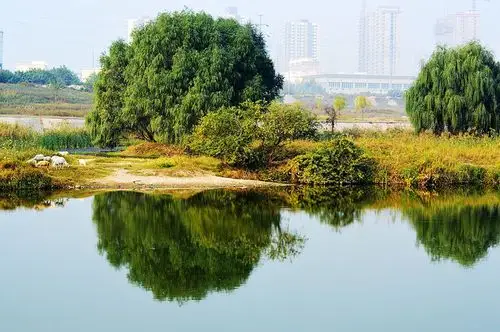 【原创】初游咸阳沣河森林公园