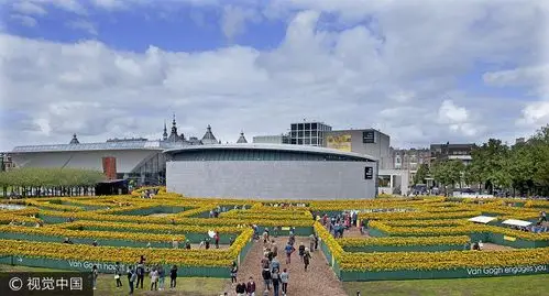 荷兰梵高博物馆向日葵迷宫