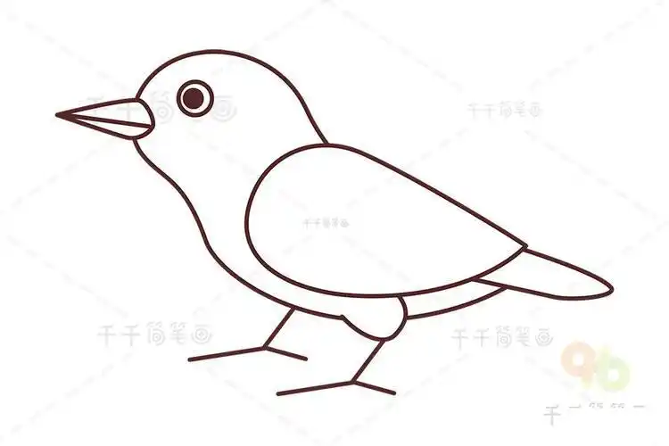 缝纫鸟简笔画步