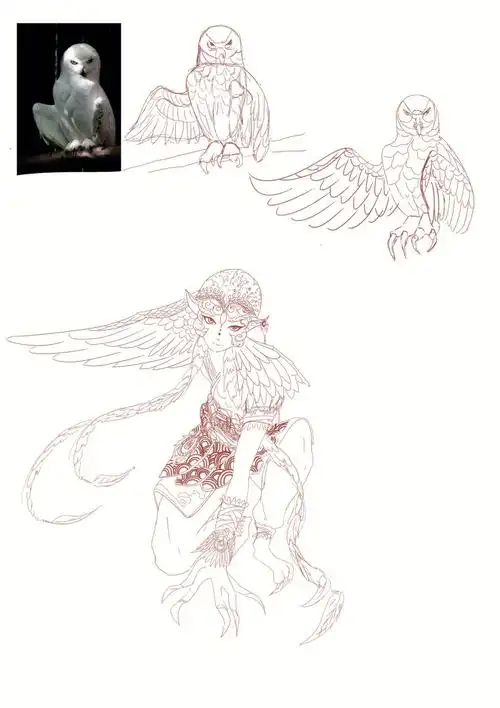 动物变形的小练习