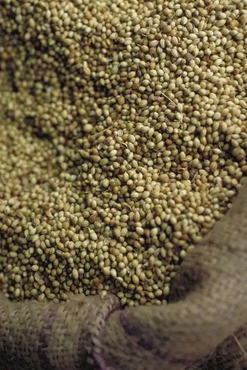 食物原材料图片[高清图片,jpg格式]