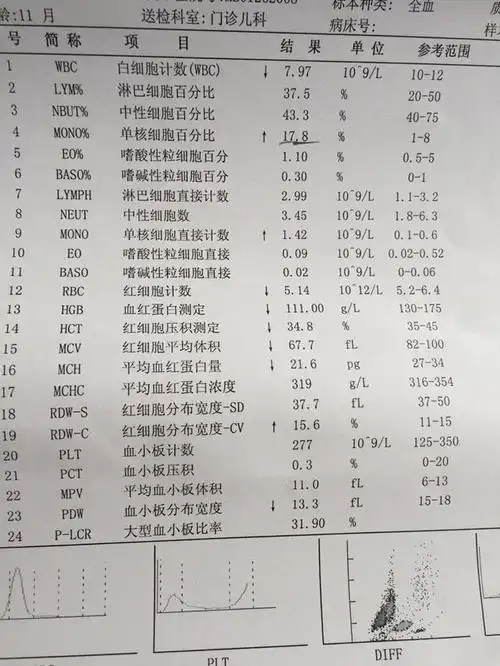 贫血是怎么回事血常规是怎么看出来的呢