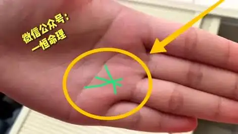 手有"豪宅纹",多为财团老板,前期虽有磨难,终将光耀门楣