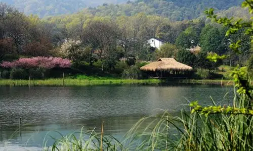 春游茅家埠之三