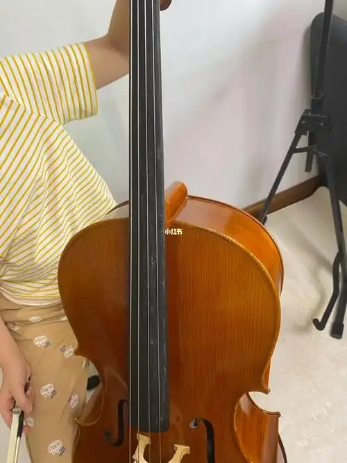 被小r同学拉的斑驳累累的大提琴指板