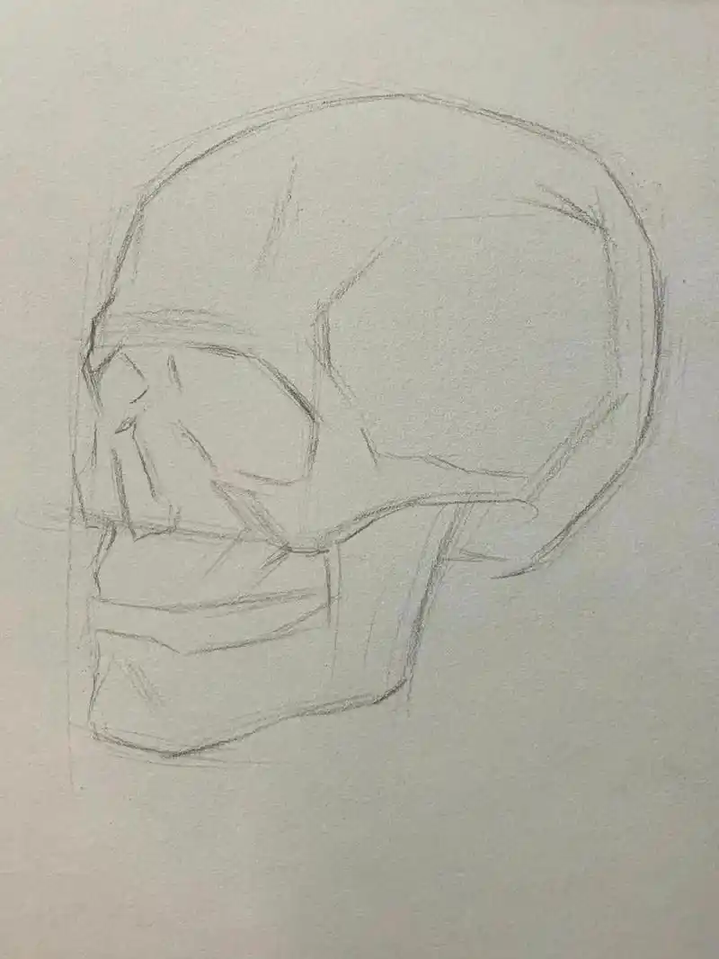 一组头骨素描步骤,喜欢素描的同学记得关注收藏#素描 #小字迷 - 抖音