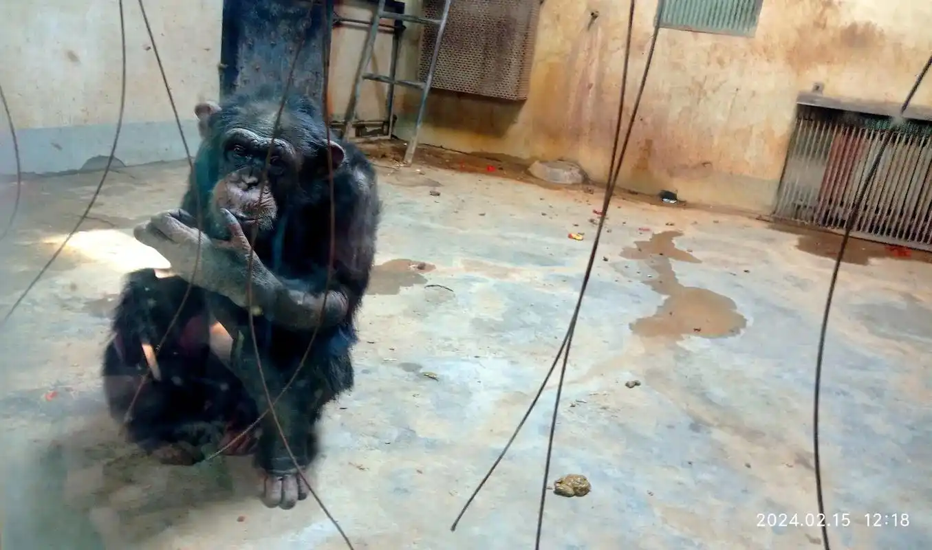 这里是洛阳王城公园内的动物园,日常收费20元/成人,因春节期 - 抖音